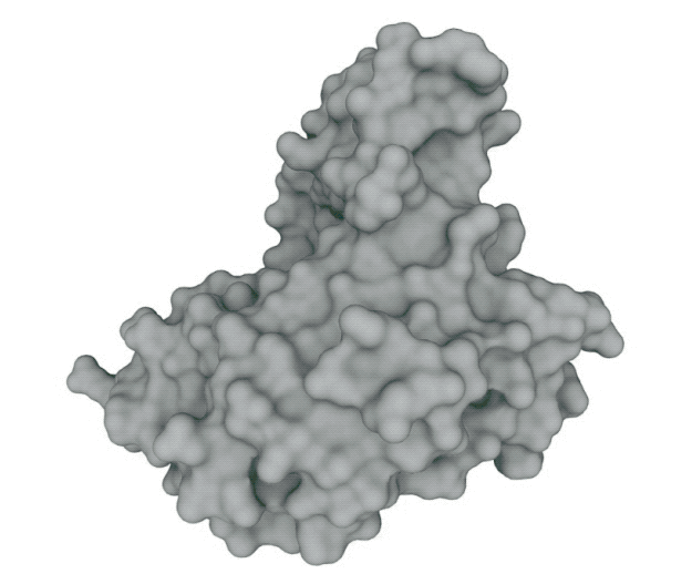 Animated Polymerase Graphic Spinning in 3D